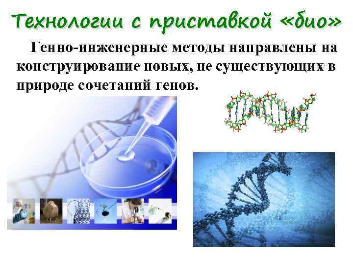 Технологии с приставкой «био» Генно-инженерные методы направлены на конструирование новых, не существующих в природе