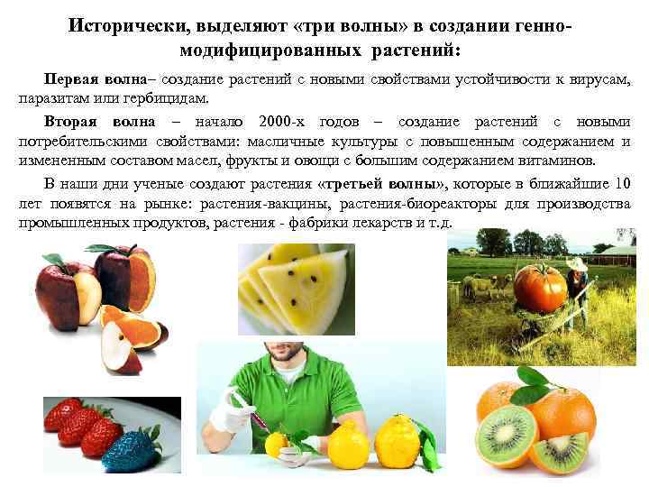 Исторически, выделяют «три волны» в создании генномодифицированных растений: Первая волна– создание растений с новыми