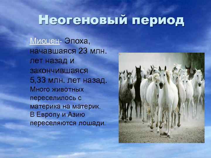 Неогеновый период • Миоцен- Эпоха, начавшаяся 23 млн. лет назад и закончившаяся 5, 33