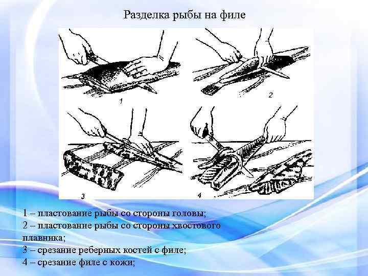 Схема разделки рыбы на филе без кожи и без костей