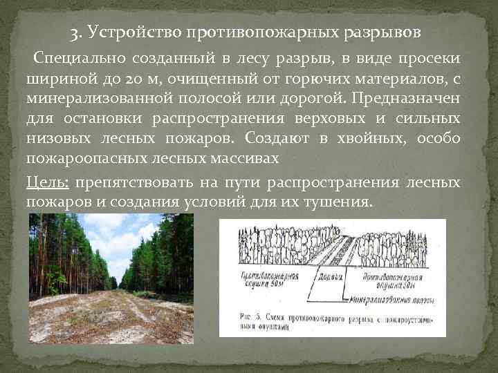 Противопожарный разрыв. Противопожарные минерализованные полосы схема. Противопожарные разрывы. Противопожарные разрывы в лесах. Устройство противопожарных разрывов в лесах.