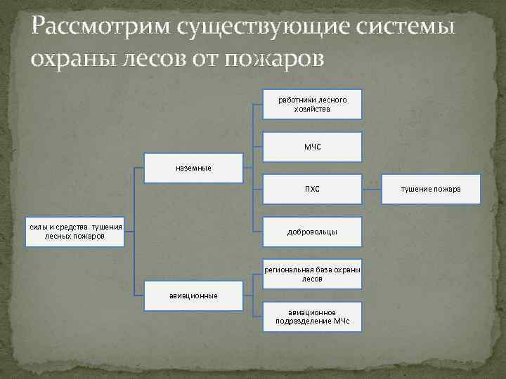 Ориентируясь на содержание параграфа нарисуйте схему системы охраны леса