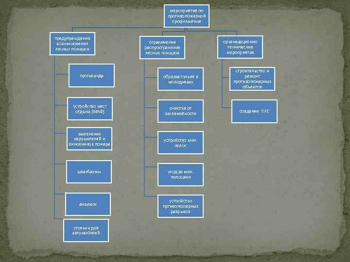 мероприятия по противопожарной профилактике предупреждение возникновения лесных пожаров ограничение распространения лесных пожаров пропаганда обрезка