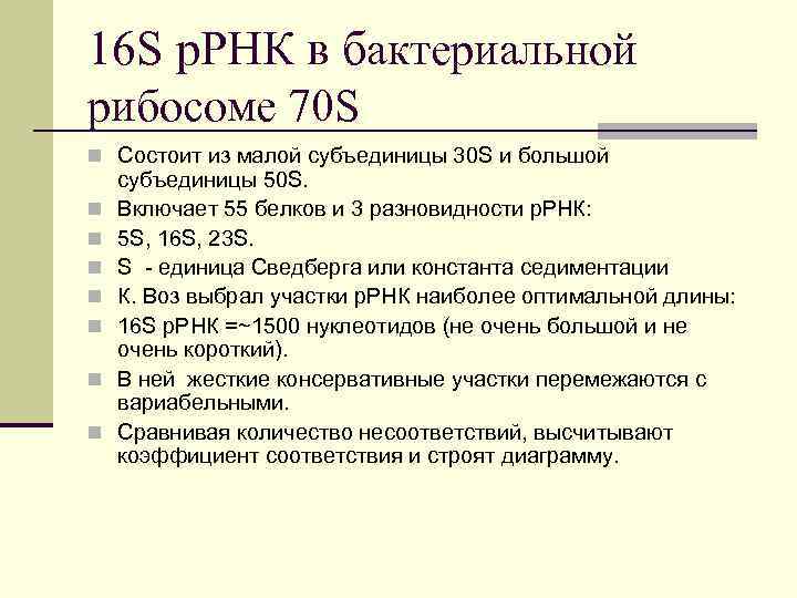 16 S р. РНК в бактериальной рибосоме 70 S n Состоит из малой субъединицы