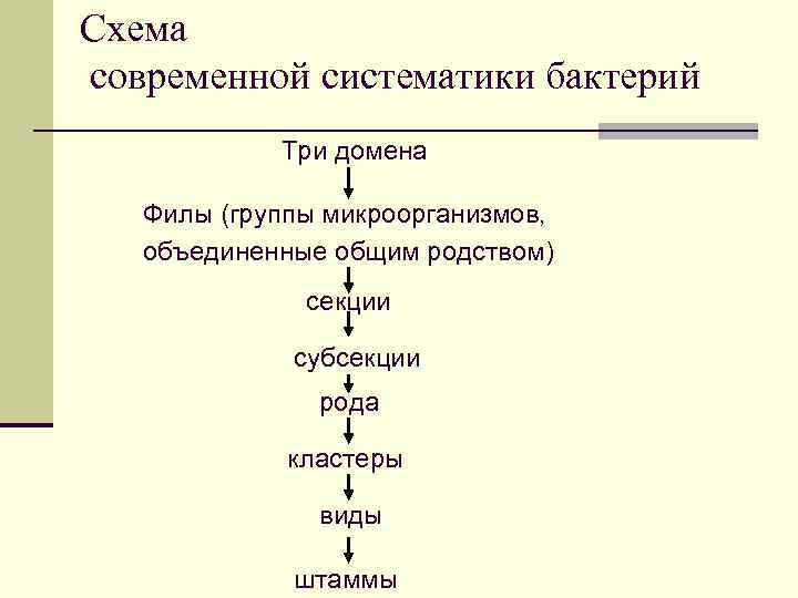 Схема современной систематики бактерий Три домена Филы (группы микроорганизмов, объединенные общим родством) секции субсекции