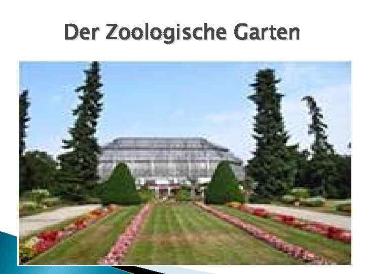 Der Zoologische Garten 