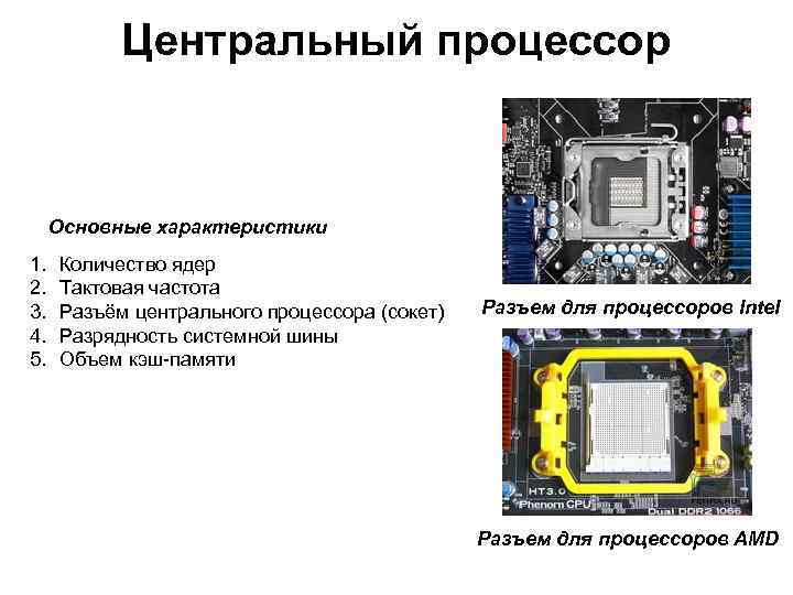 Узнать тактовую частоту процессора и объем оперативной памяти компьютера можно по схеме