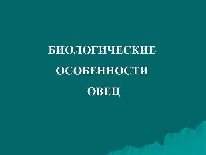 БИОЛОГИЧЕСКИЕ ОСОБЕННОСТИ ОВЕЦ 