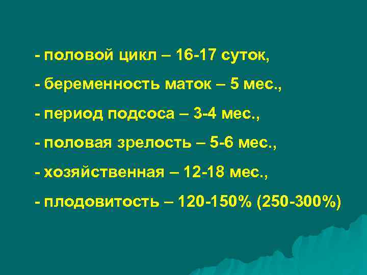 - половой цикл – 16 -17 суток, - беременность маток – 5 мес. ,