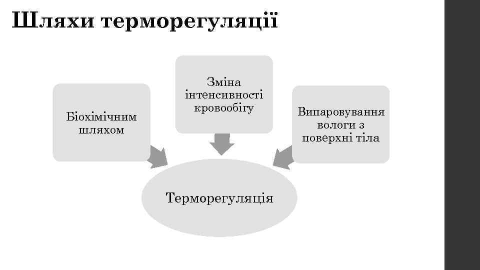 Шляхи терморегуляції Біохімічним шляхом Зміна інтенсивності кровообігу Терморегуляція Випаровування вологи з поверхні тіла 