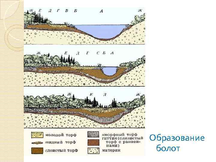 Образование болот схема