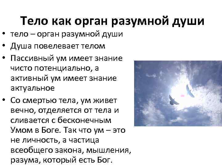  Тело как орган разумной души • тело – орган разумной души • Душа