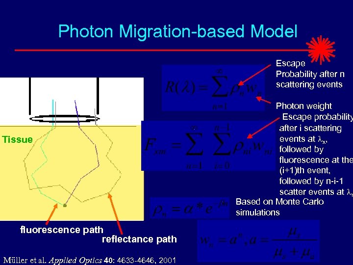 Photon Migration-based Model Escape Probability after n scattering events Tissue fluorescence path reflectance path