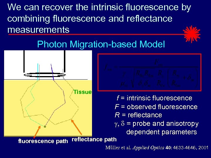 We can recover the intrinsic fluorescence by combining fluorescence and reflectance measurements Photon Migration-based