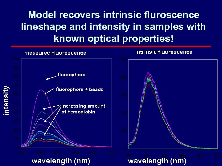 Model recovers intrinsic fluroscence lineshape and intensity in samples with known optical properties! measured