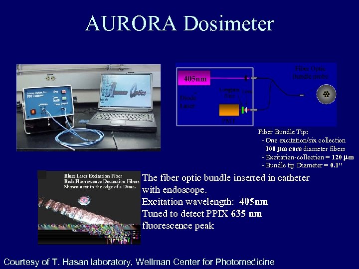 AURORA Dosimeter Fiber Bundle Tip: - One excitation/six collection 100 mm core diameter fibers