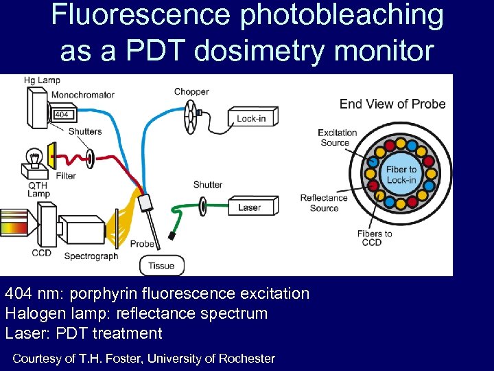 Fluorescence photobleaching as a PDT dosimetry monitor 404 nm: porphyrin fluorescence excitation Halogen lamp: