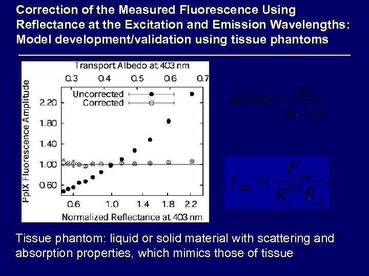 Correction of the Measured Fluorescence Using Reflectance at the Excitation and Emission Wavelengths: Model