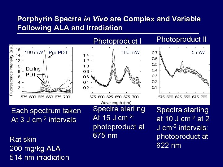 Porphyrin Spectra in Vivo are Complex and Variable Following ALA and Irradiation Photoproduct I