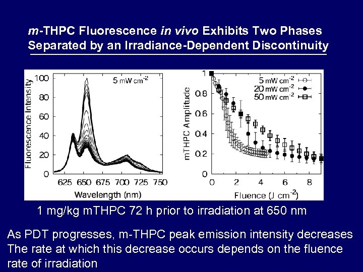 m-THPC Fluorescence in vivo Exhibits Two Phases Separated by an Irradiance-Dependent Discontinuity 1 mg/kg