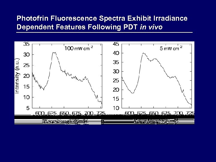 Photofrin Fluorescence Spectra Exhibit Irradiance Dependent Features Following PDT in vivo 