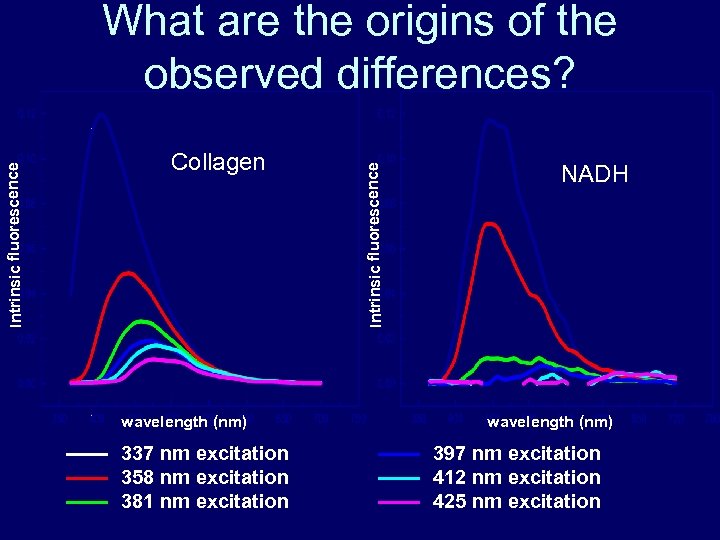 Collagen wavelength (nm) 337 nm excitation 358 nm excitation 381 nm excitation Intrinsic fluorescence