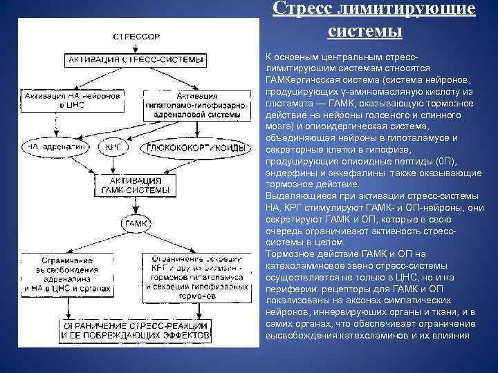 Схема стресс реализующей системы