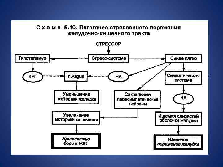 Активационная терапия по гаркави схема