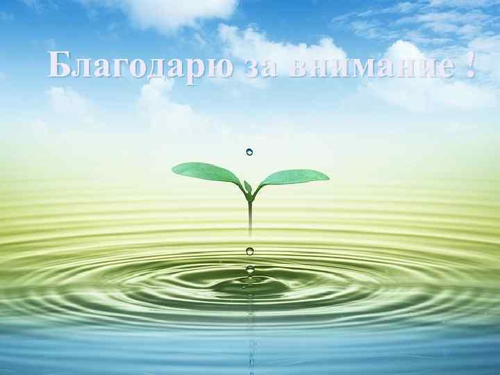 Благодарю за внимание ! 