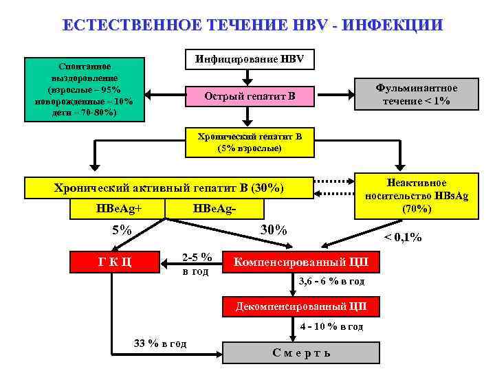ЕСТЕСТВЕННОЕ ТЕЧЕНИЕ HВV - ИНФЕКЦИИ Инфицирование HBV Спонтанное выздоровление (взрослые – 95% новорожденные –