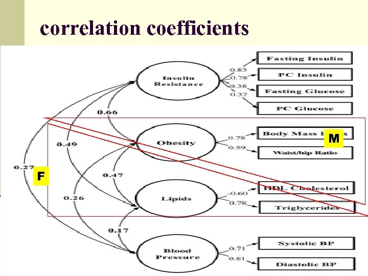 correlation coefficients M F 