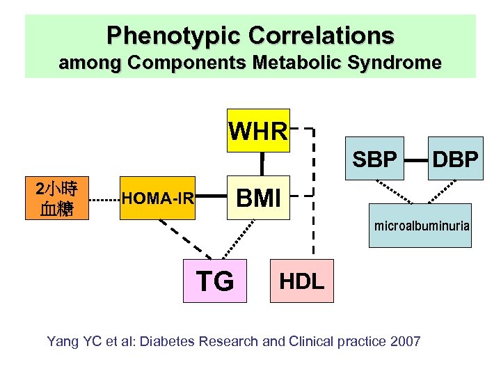 Phenotypic Correlations among Components Metabolic Syndrome WHR SBP 2小時 血糖 DBP BMI HOMA-IR microalbuminuria