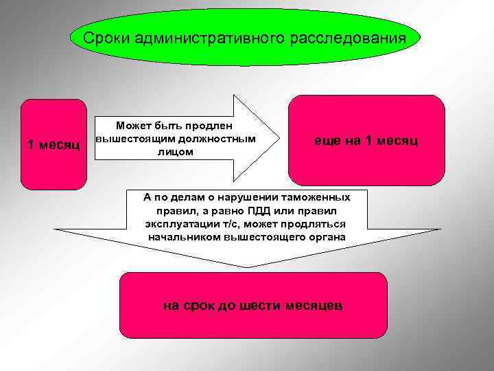 Административное расследование презентация