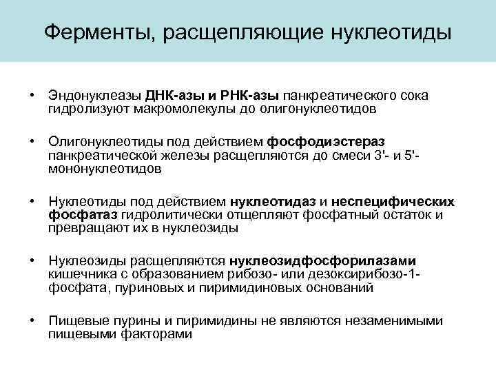 Ферменты, расщепляющие нуклеотиды • Эндонуклеазы ДНК-азы и РНК-азы панкреатического сока гидролизуют макромолекулы до олигонуклеотидов