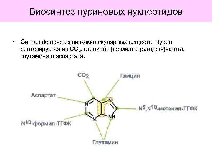 Биосинтез пуриновых нуклеотидов • Синтез de novo из низкомолекулярных веществ. Пурин синтезируется из СО