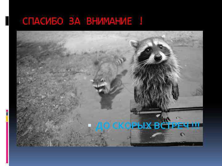 СПАСИБО ЗА ВНИМАНИЕ ! ДО СКОРЫХ ВСТРЕЧ !!! 