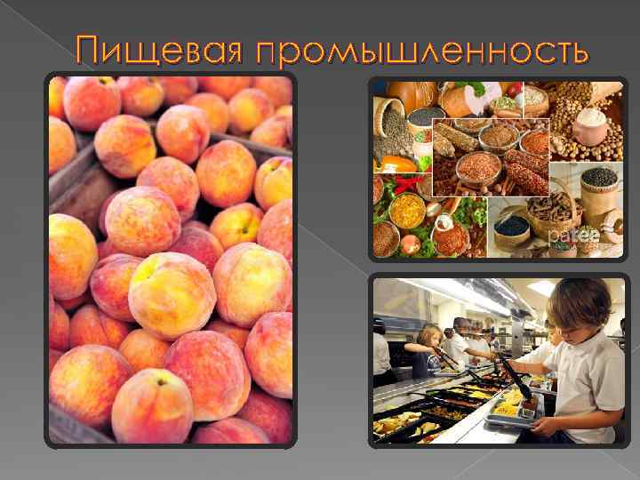 Пищевая промышленность 