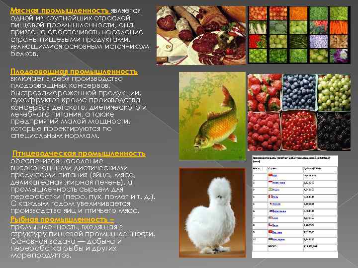Мясная промышленность является одной из крупнейших отраслей пищевой промышленности, она призвана обеспечивать население страны
