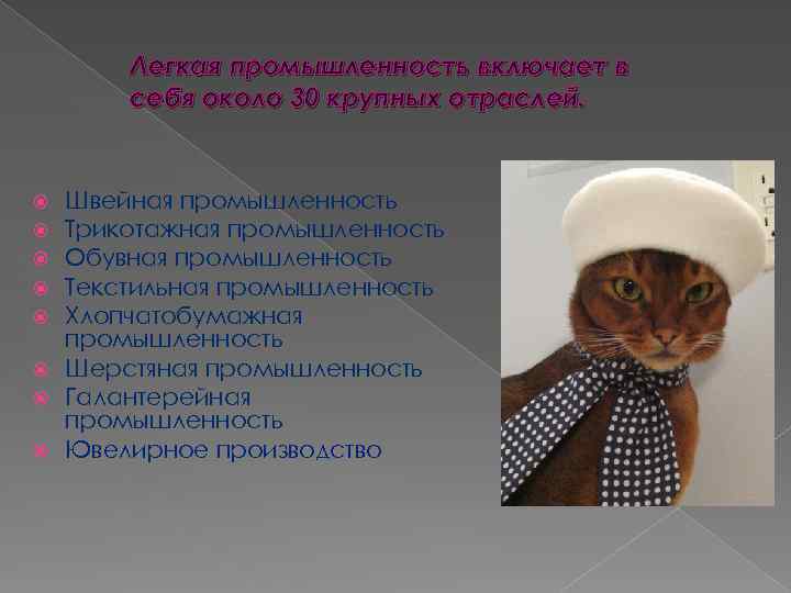 Легкая промышленность включает в себя около 30 крупных отраслей. Швейная промышленность Трикотажная промышленность Обувная