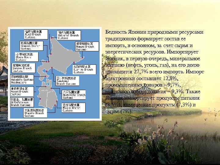 Бедность Японии природными ресурсами традиционно формирует состав ее импорта, в основном, за счет сырья