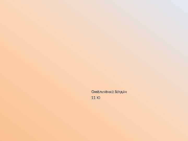 Омельченко Богдан 11 Ю 