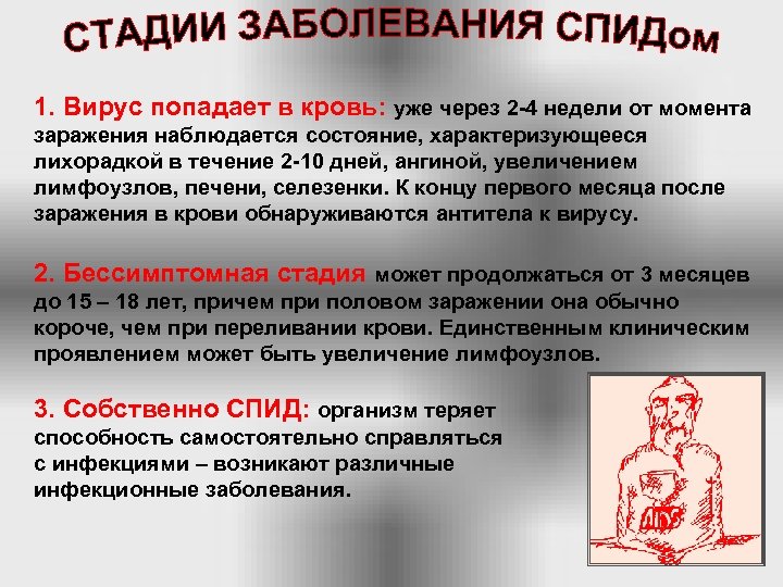 1. Вирус попадает в кровь: уже через 2 4 недели от момента заражения наблюдается