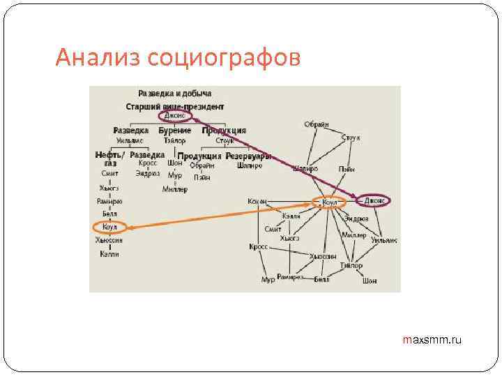 Анализ социографов maxsmm. ru 