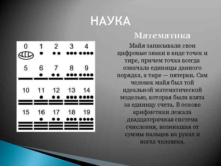 НАУКА Математика Майя записывали свои цифровые знаки в виде точек и тире, причем точка