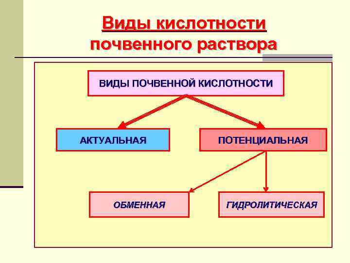 Виды кислотности почвенного раствора ВИДЫ ПОЧВЕННОЙ КИСЛОТНОСТИ АКТУАЛЬНАЯ ОБМЕННАЯ ПОТЕНЦИАЛЬНАЯ ГИДРОЛИТИЧЕСКАЯ 