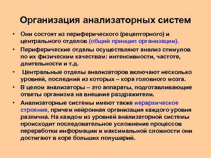 Организация анализаторных систем • Они состоят из периферического (рецепторного) и центрального отделов (общий принцип