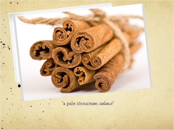 ‘a pale cinnamon colour’ 