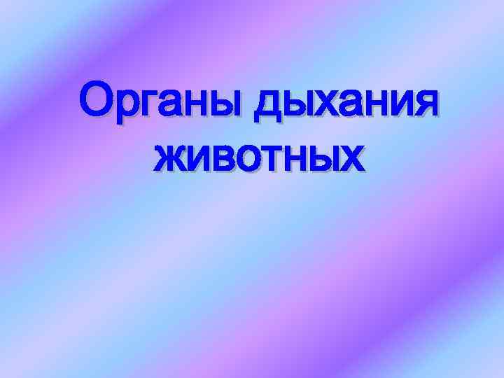 Органы дыхания животных 