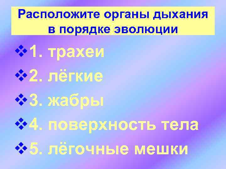 Расположите органы дыхания в порядке эволюции v 1. трахеи v 2. лёгкие v 3.
