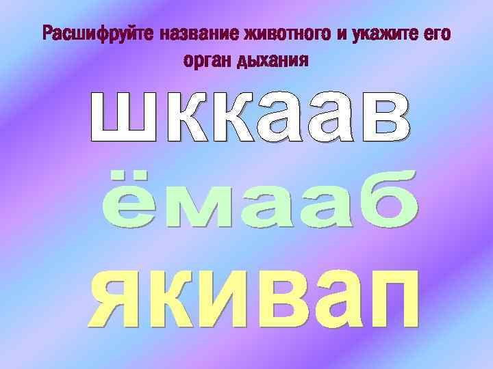 Расшифруйте название животного и укажите его орган дыхания 